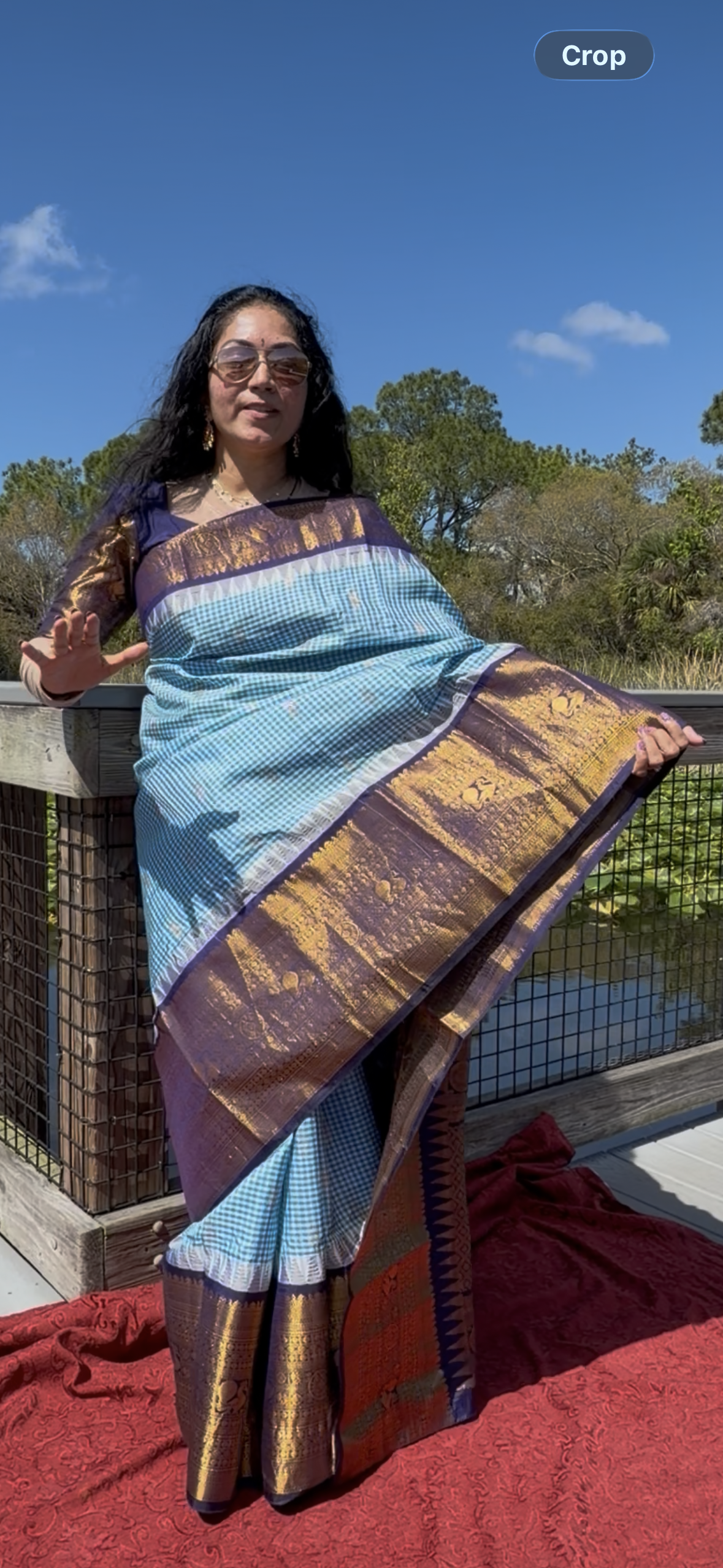 Authentics of Gadwal

Blue Checks and zari butta heavy brocade pallu 
Fabric : Pure Silk , pure zari 
Handloom
Sari with blouse stitched to size 38 - 42 inches bust